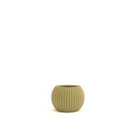 Green ribbed ceramic pot on a white background